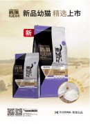 爵加新品幼貓精選上市！