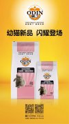 奧丁精品幼貓糧閃耀登場(chǎng)?。?！